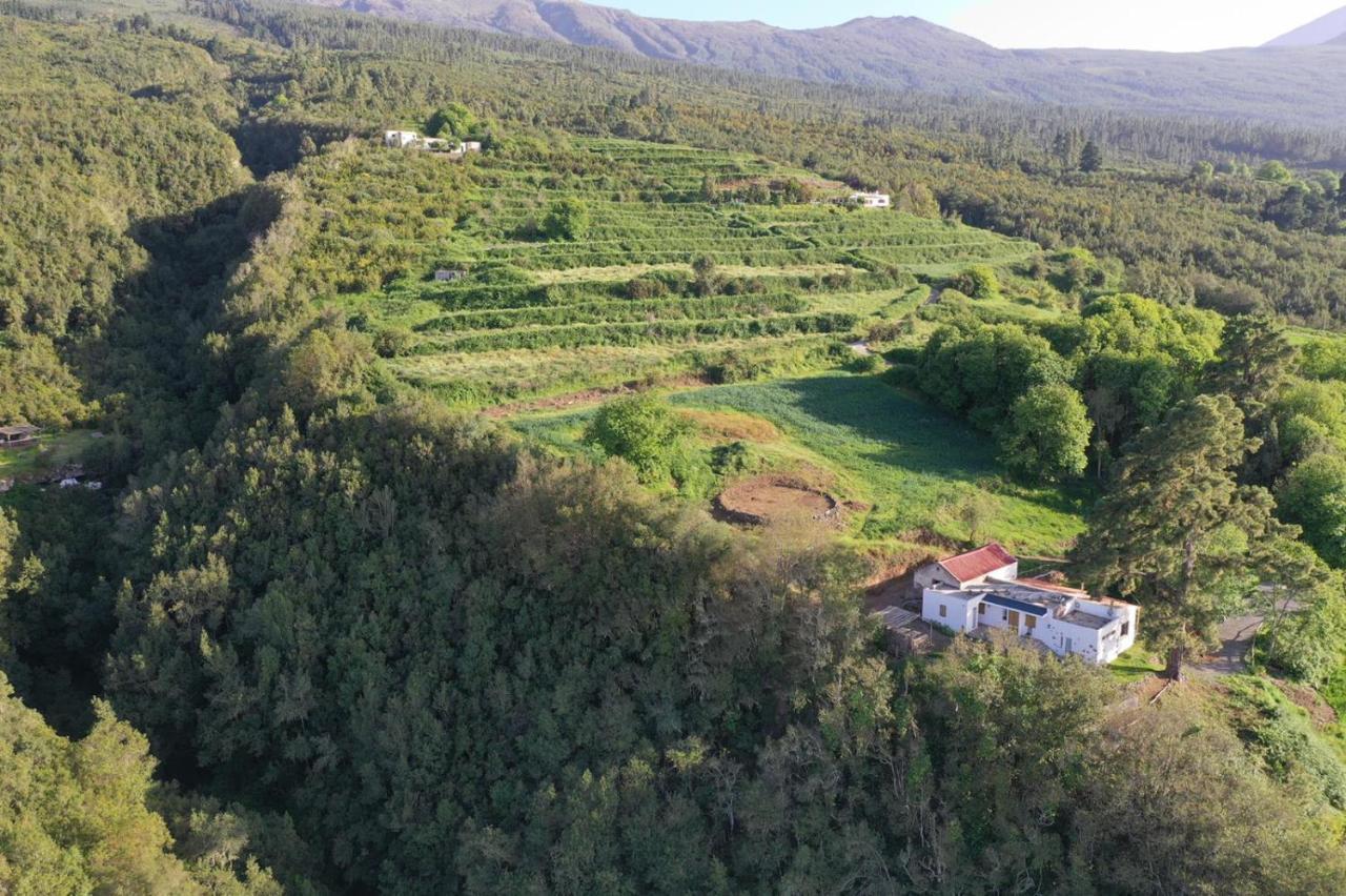 El Pino Centenario 8 Ля Оротава Экстерьер фото